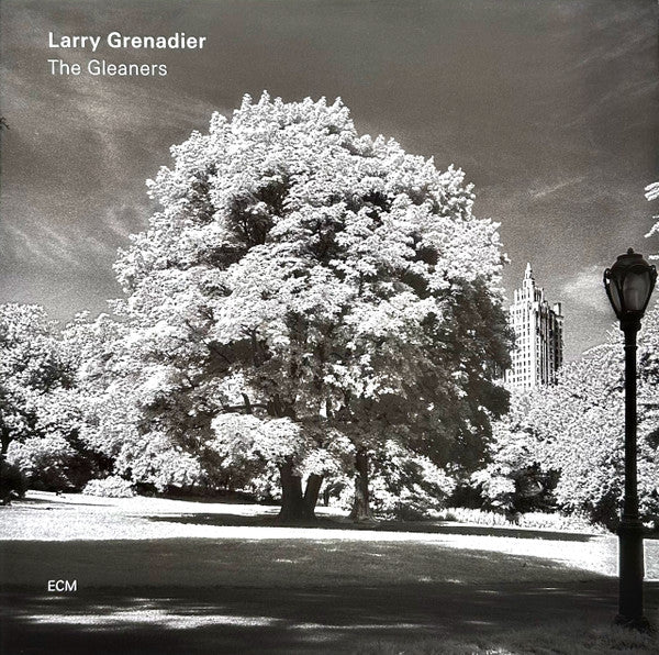 Larry Grenadier – The Gleaners, E.U. ECM Records – ECM 2560