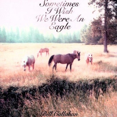 Bill Callahan - Sometimes I Wish I Were An Eagle, Vinyl LP