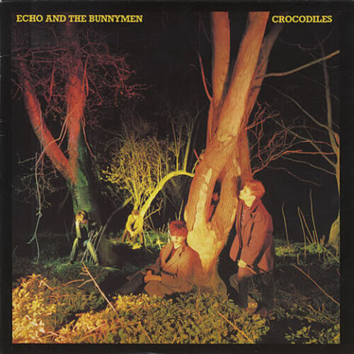 Echo And The Bunnymen - Crocodiles, Vinyl LP