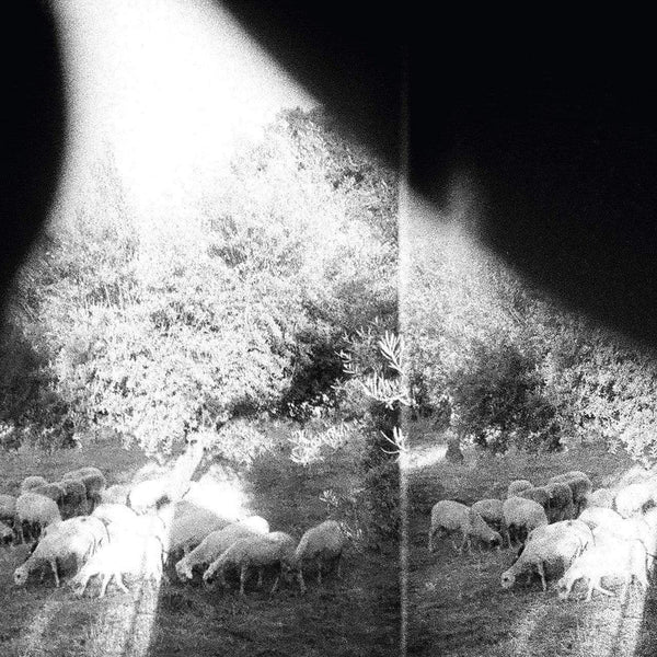 Godspeed You! Black Emperor  - 'Asunder, Sweet And Other Distress, Vinyl LP